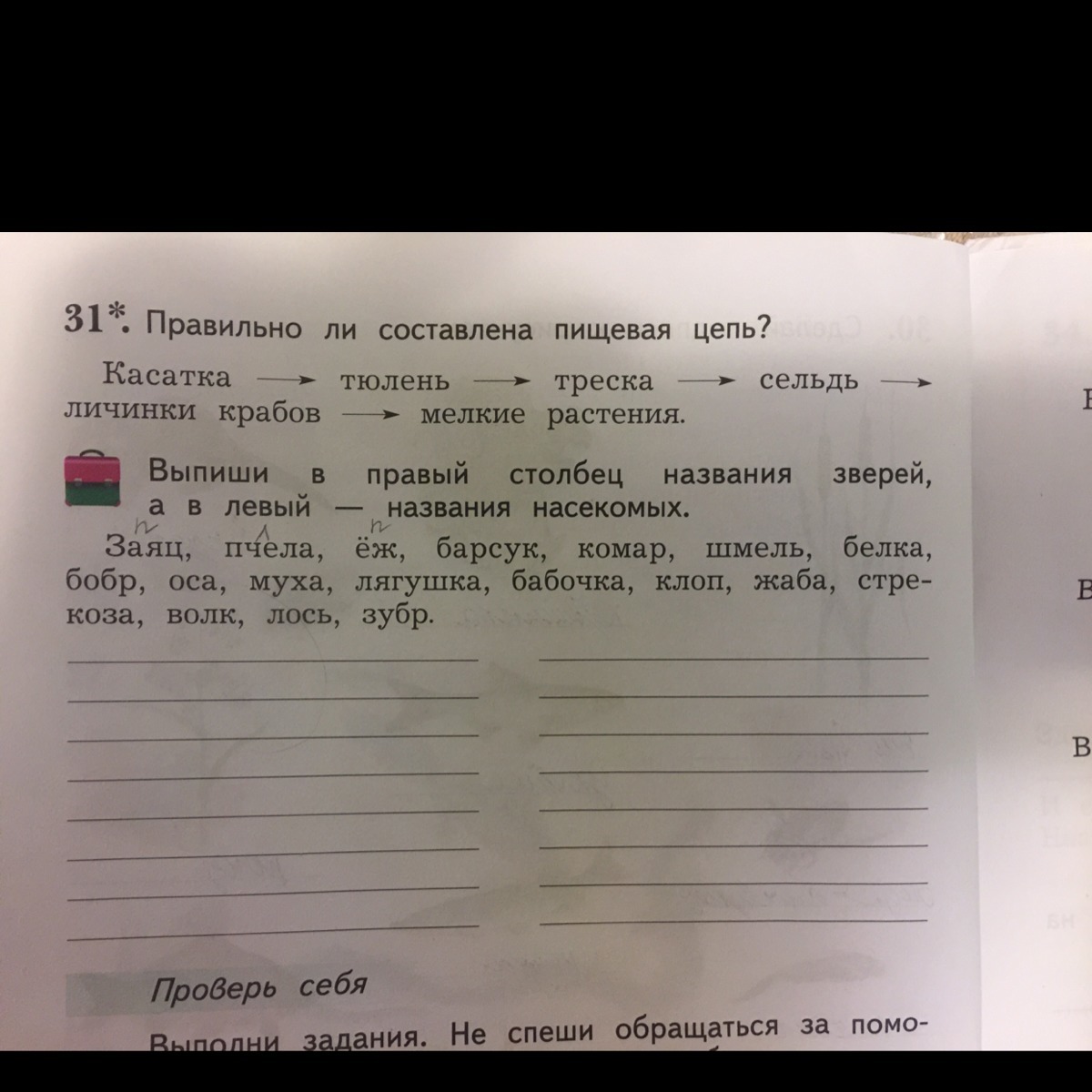 Выпишите в правую. Выпиши в правый столбец названия зверей а в левый. Выпиши в правый столбец названия зверей а в левый названия насекомых. Пищевая цепочка Касатка тюлень треска сельдь личинки. Выпиши в правый столбец названия зверей а в левый названия насекомых 2.