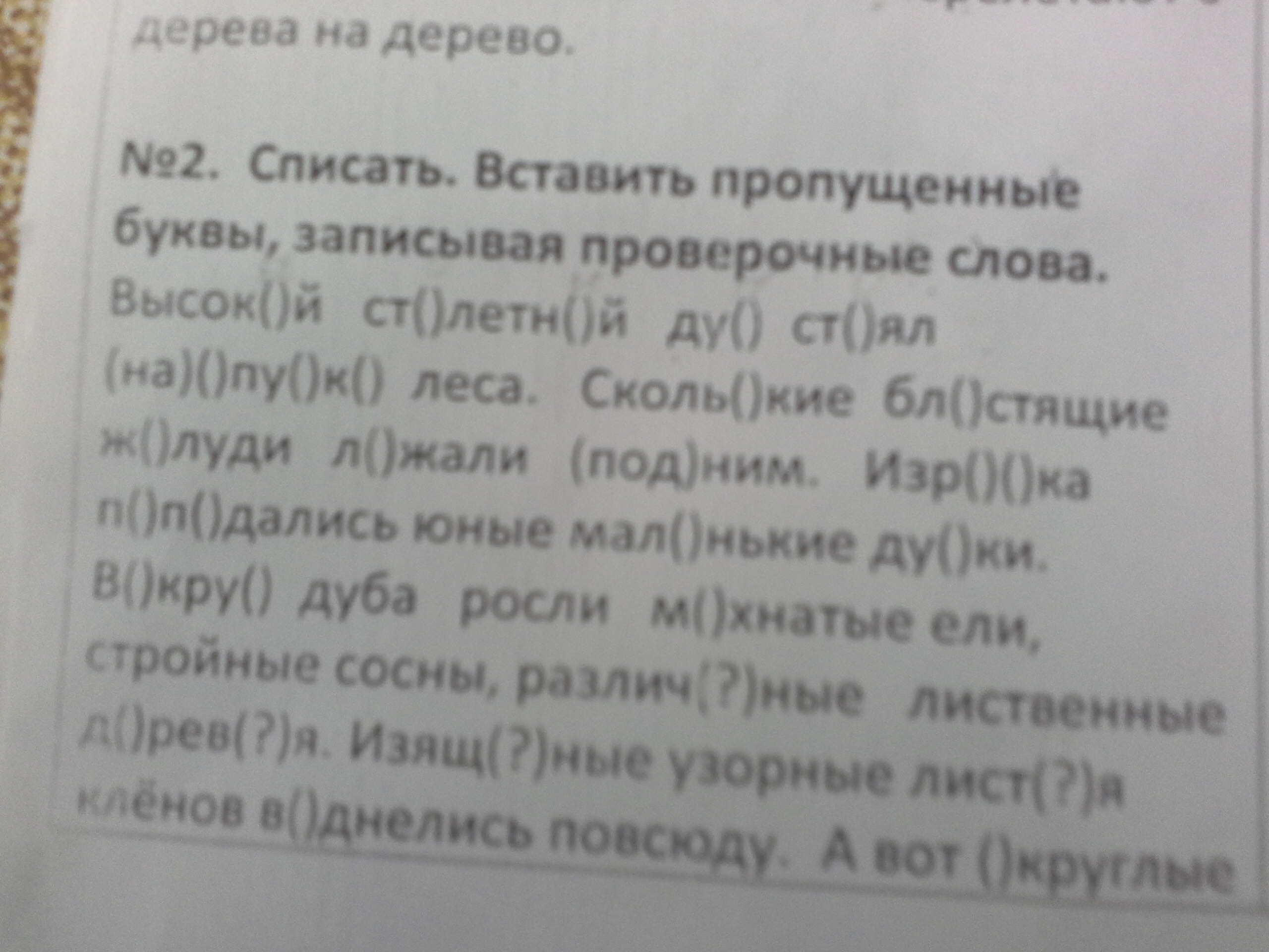 Дуб стоит высокий текст. Спишите вставьте пропущенные буквы запишите проверочные слова. Списать вставить пропущенные буквы записывая проверочные слова.