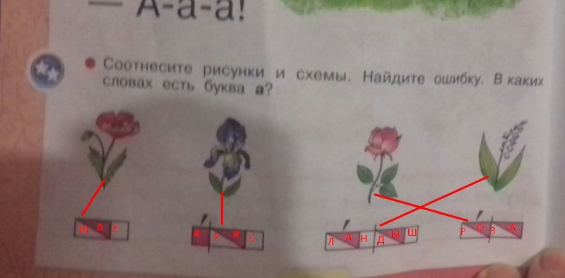 Соотнеси рисунки и схемы найди ошибку