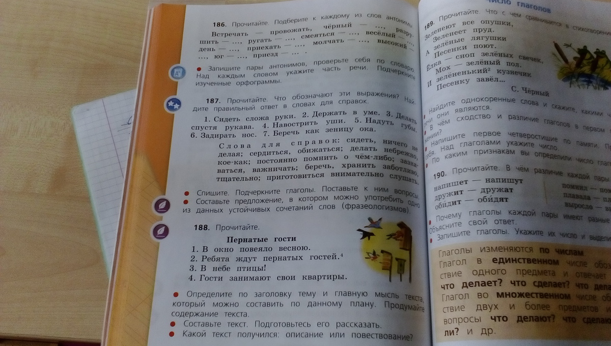 Сочинение на тему пернатые гости 3 класс по плану по русскому языку