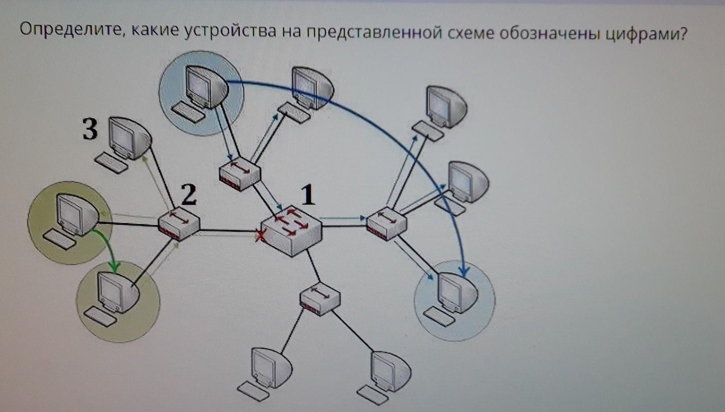 Какая схема представляет собой. Узел сети это. Узлы компьютерной сети. Сегмент сети. Схема какого устройства представлена на рисунке?.