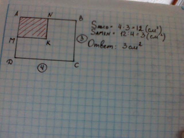 Найдите площадь закрашенного прямоугольника