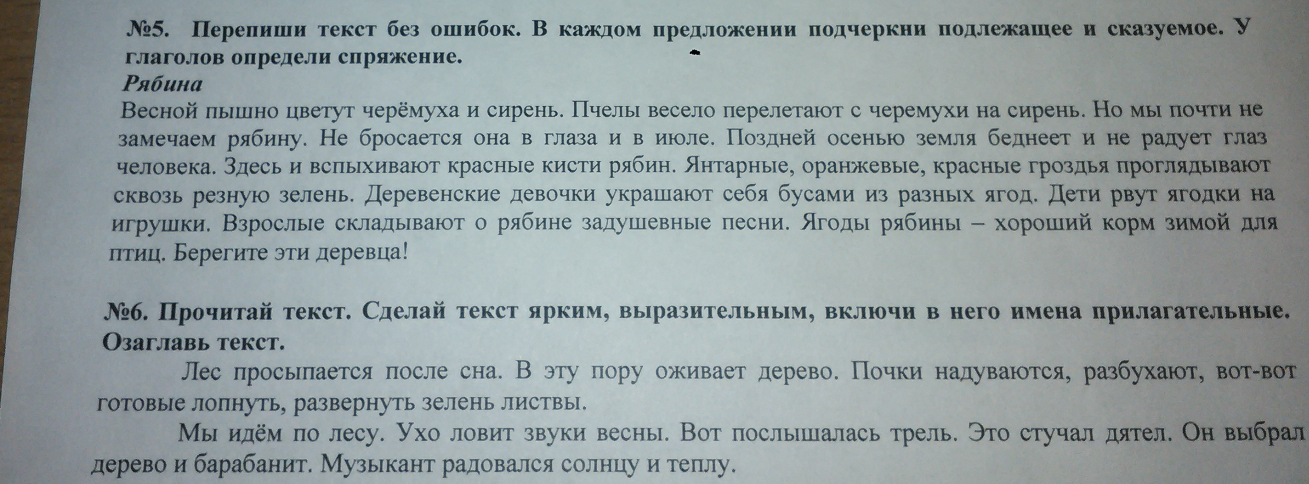 В лесу текст 8 класс русский. Перепиши текст лес.