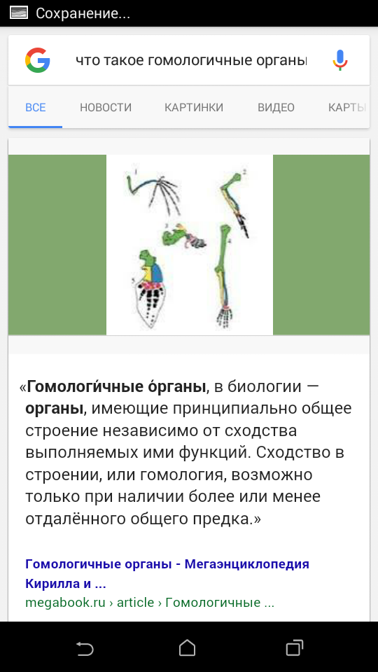 Функции гомологичных органов