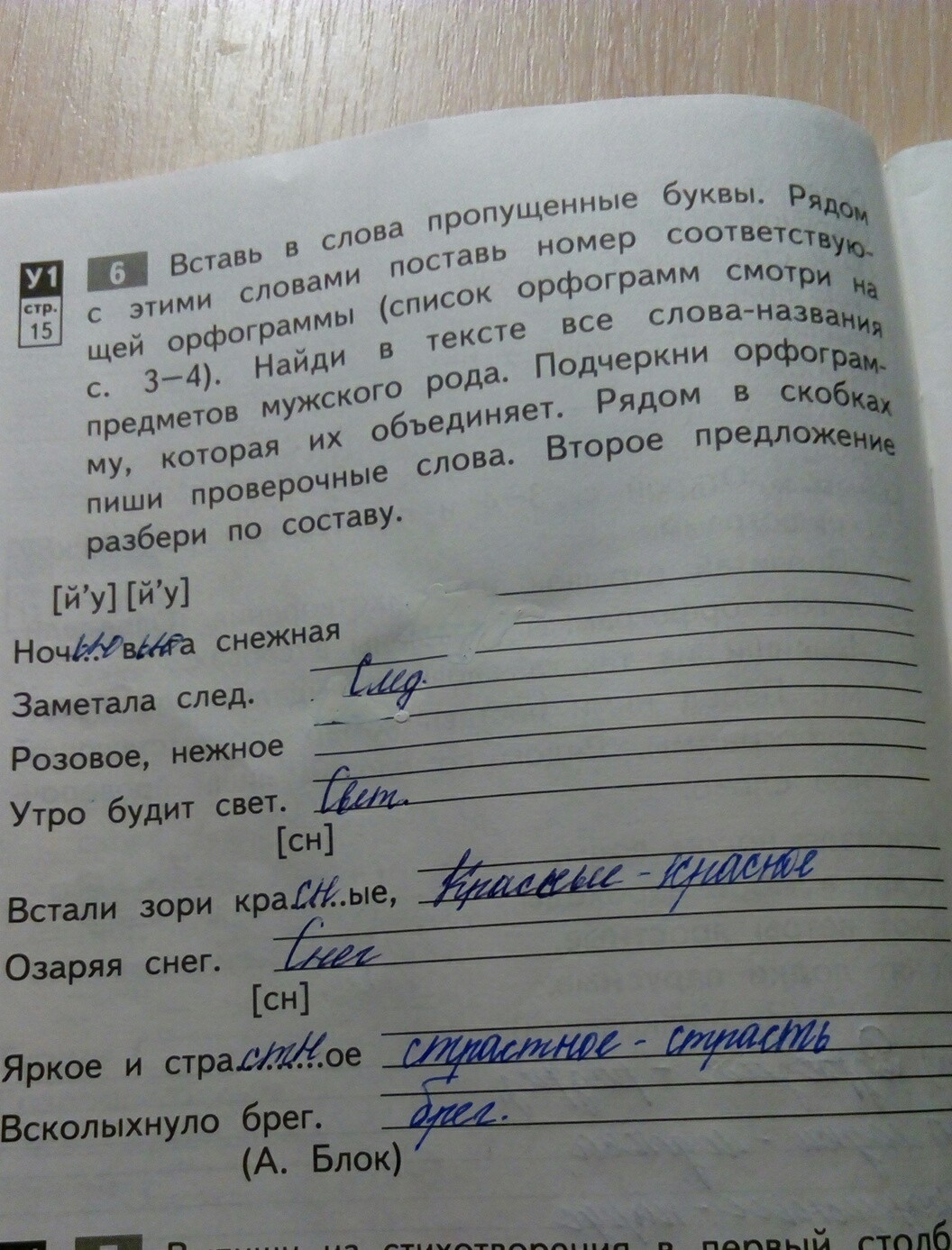 След разбор. Поставь пропущенные слова. След проверочное слово. Вьюжная проверочное слово. Впиши в слова соответствующие.