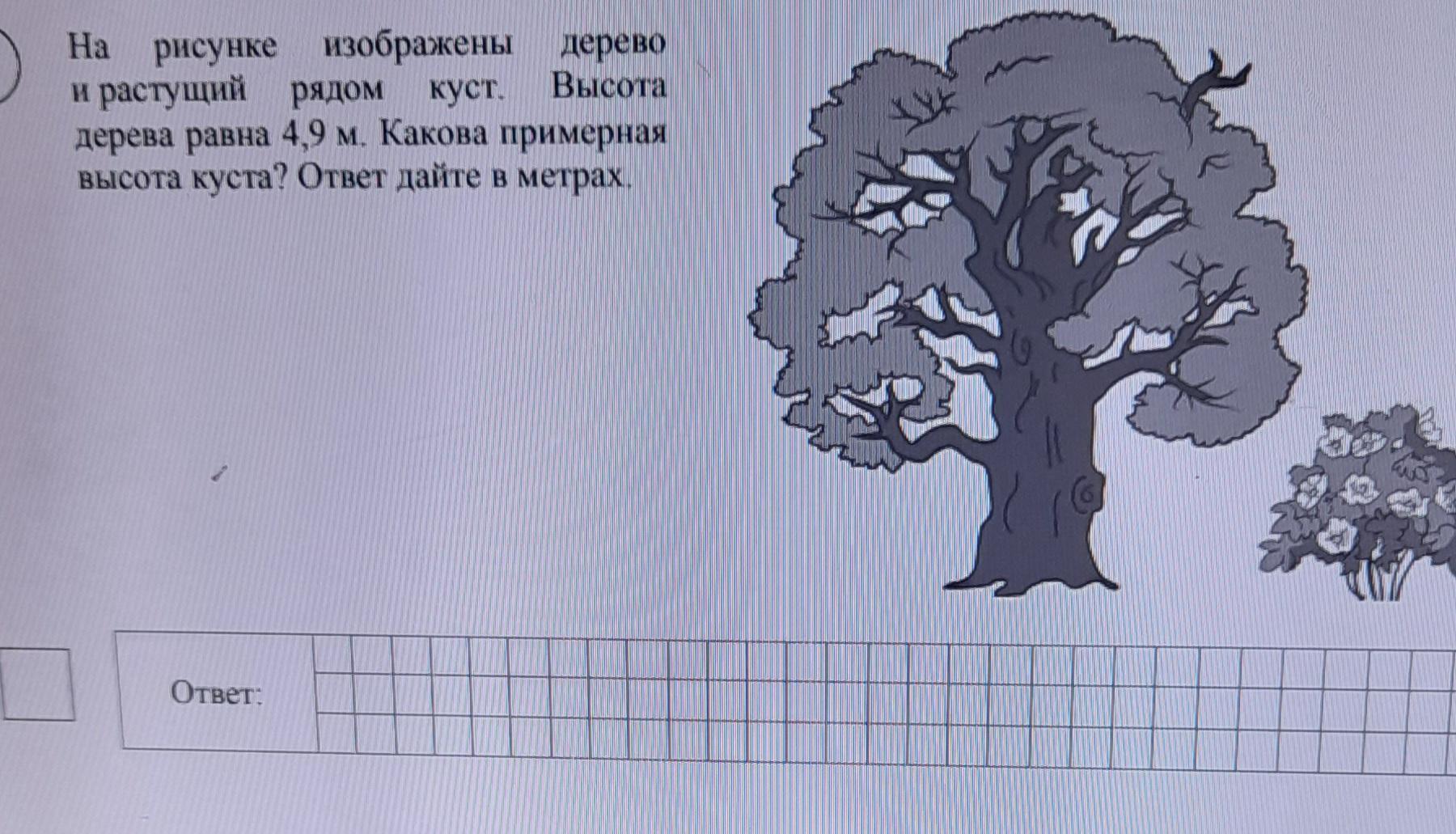 На рисунке изображены здание и стоящее рядом дерево высота дерева равна 10 м какова примерная