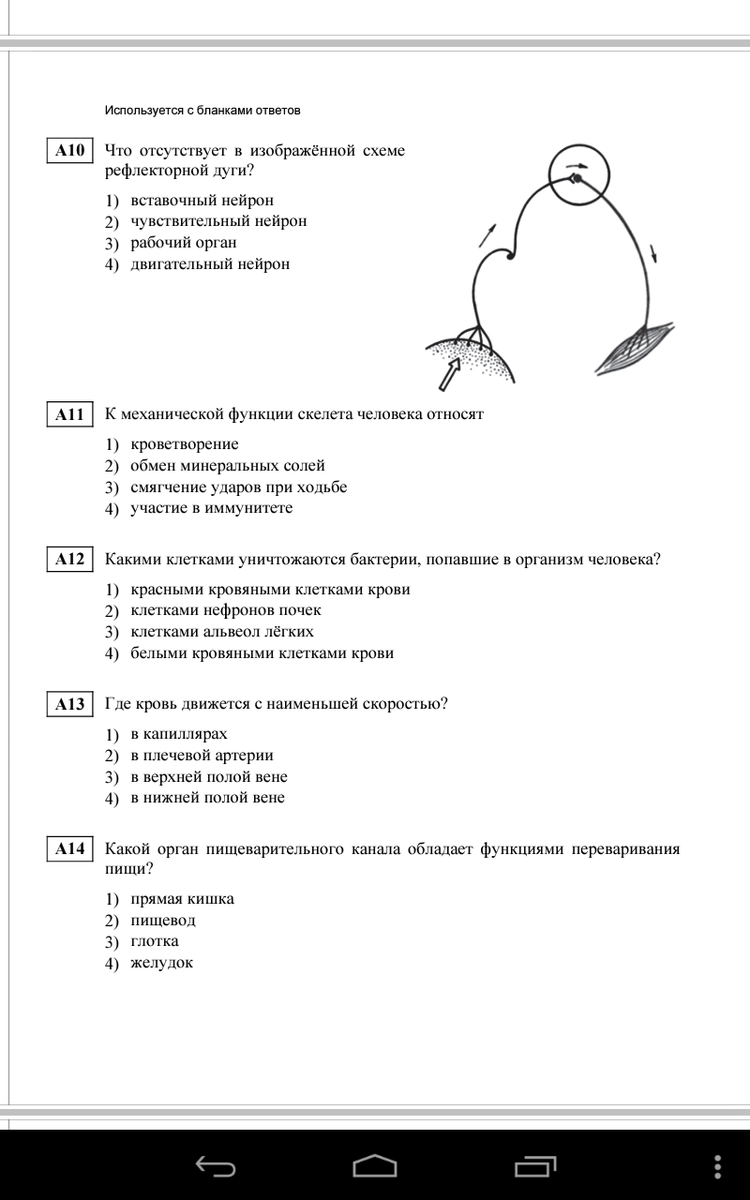 Что отсутствует в изображенной схеме рефлекторной дуги 1 вставочный нейрон