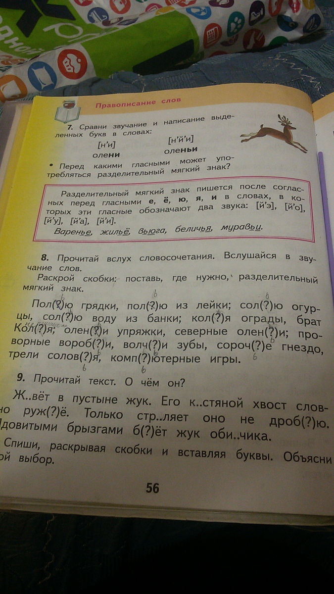 Предложение со словом полю и полью. Когда брат полил 5 грядок а сестра 3 грядки им осталось полить 4.