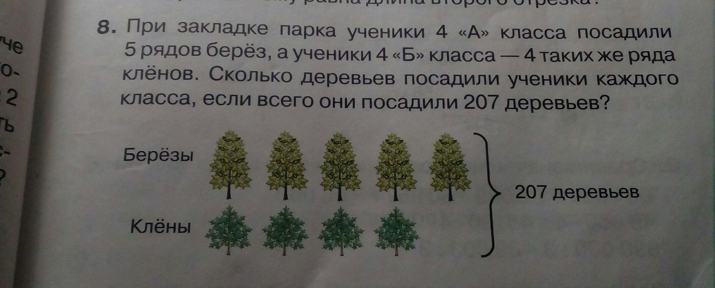 Сколько берез в каждом ряду. Ряд деревьев в парке. Три класса школьников сажали деревья первый. Задание посади елочки. 6 Рядов деревьев.