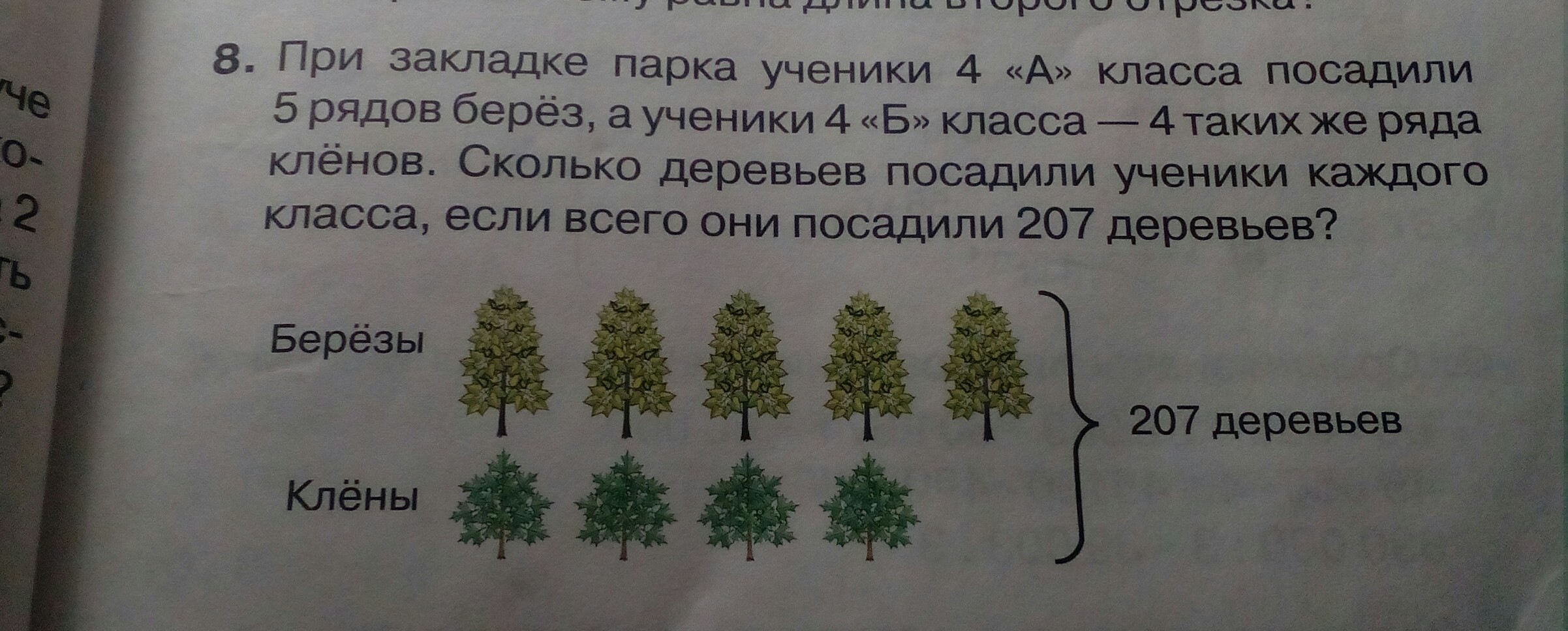 В 3 одинаковых рядах. Задача посадка деревьев на площади. 5 Рядов по 4 дерева в каждом ряду. Посадили 3 ряда берез. 10 Берез 5 рядов.