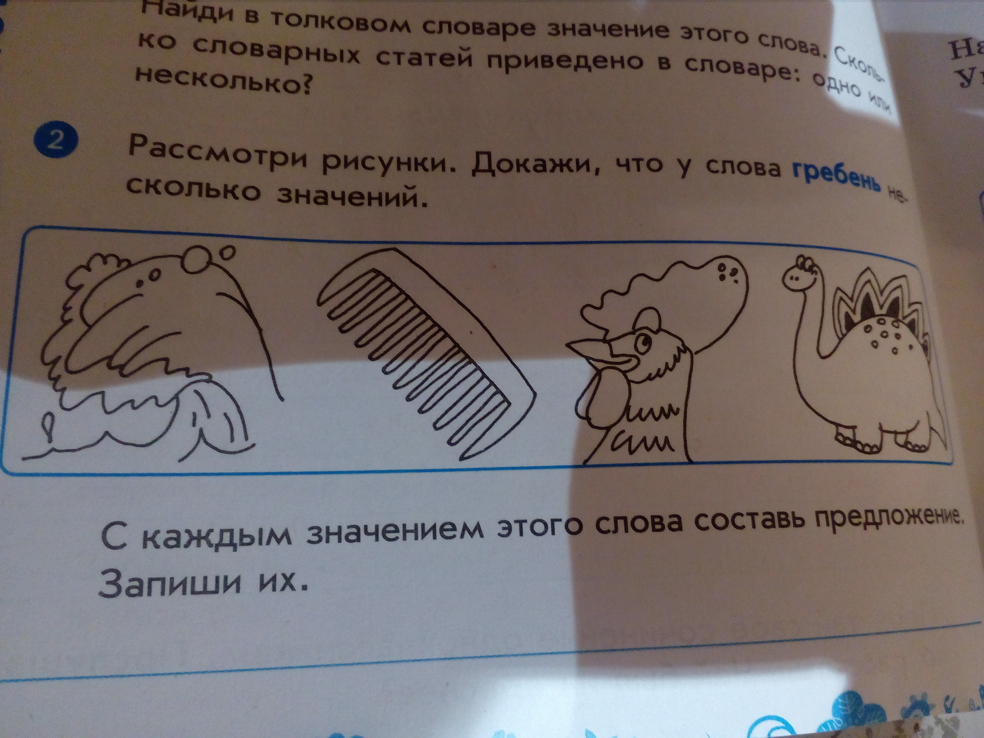 Запиши несколько значений. Предложение с гребень. Предложение со словом гребень. Гребень составить предложение. Предложение к слову гребень.