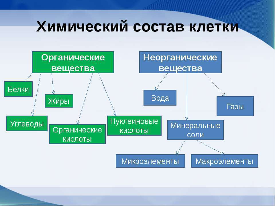 Элементы входящие в состав клетки. Роль веществ входящих в состав клетки таблица 5 класс. Роль веществ входящих в состав клетки таблица 5.