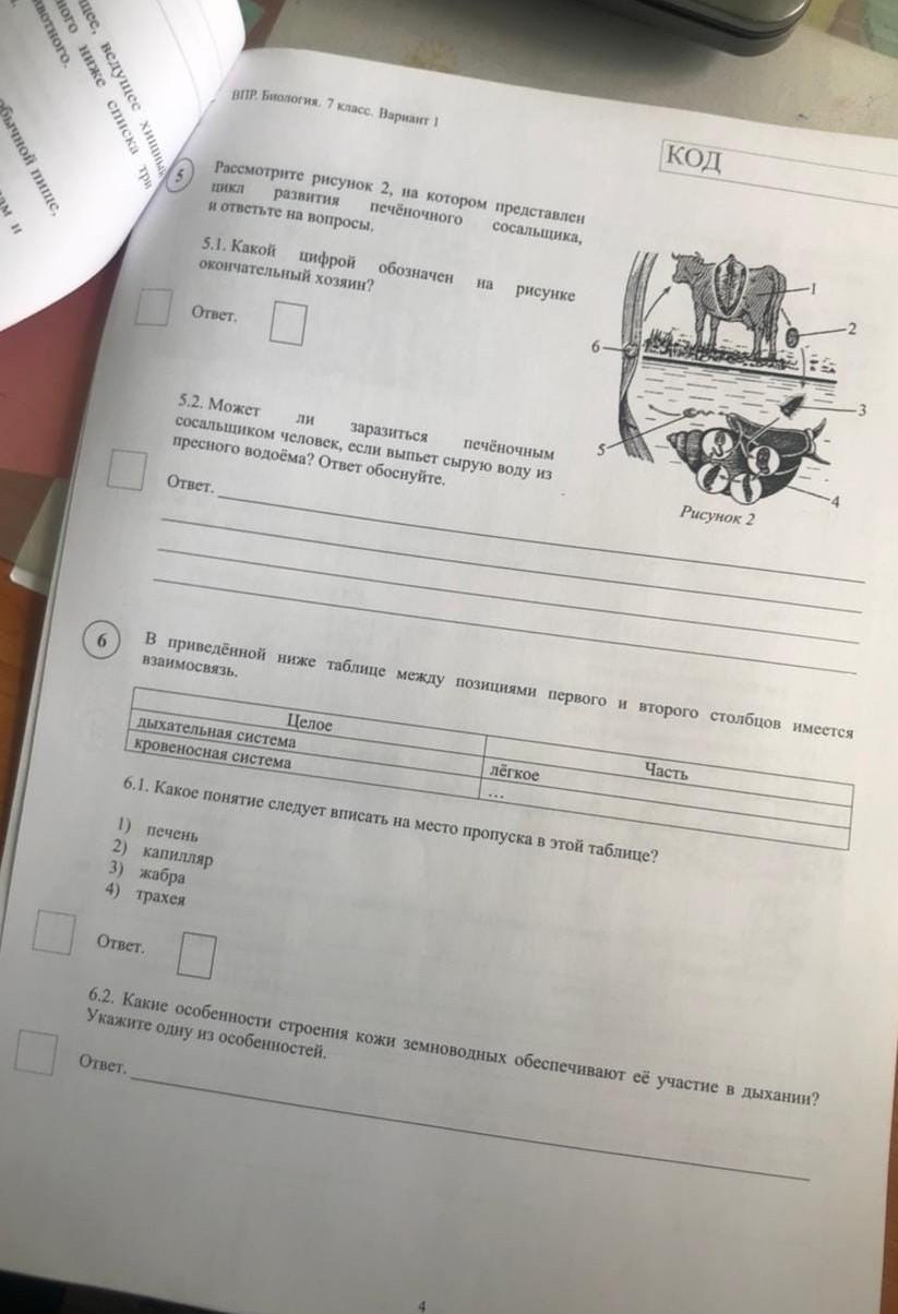 Кольчуга это впр 4 класс по русскому. Писк это ВПР 4 класс. Кольчуга это ВПР 4.