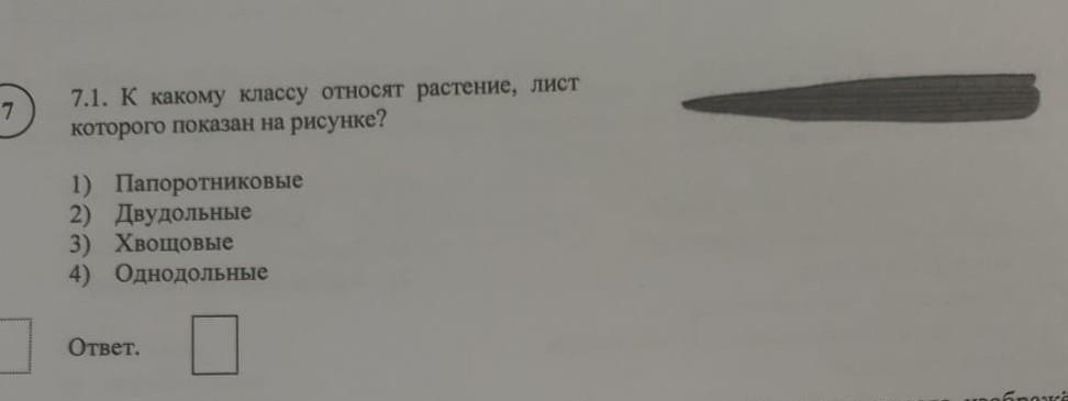 К какому классу относится растение лист которого показан на рисунке 1 папоротниковые двудольные