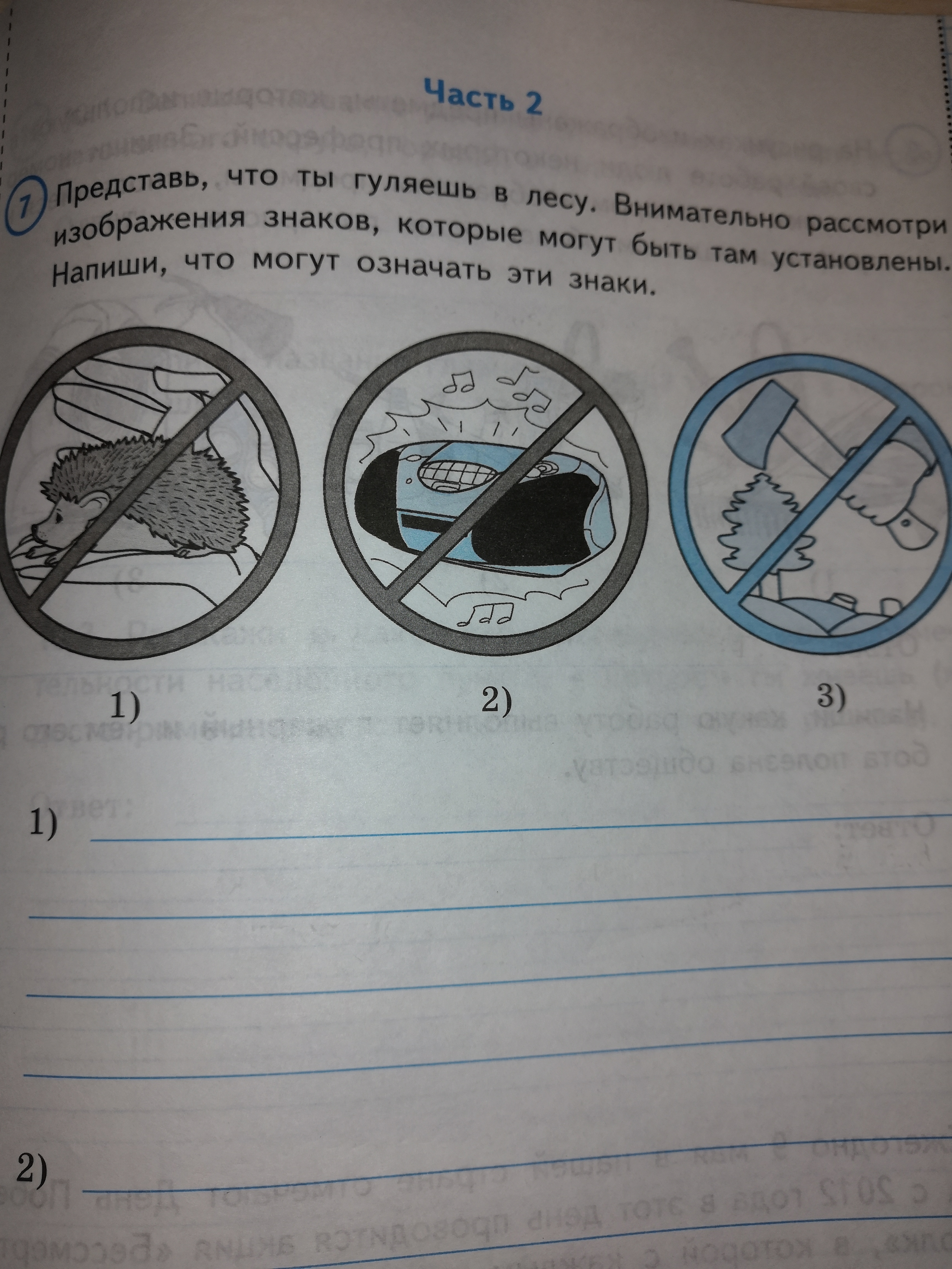 Знаки которые можно встретить в лесу