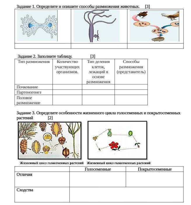 Картинки ТИПЫ БЕСПОЛОГО РАЗМНОЖЕНИЯ ТАБЛИЦА