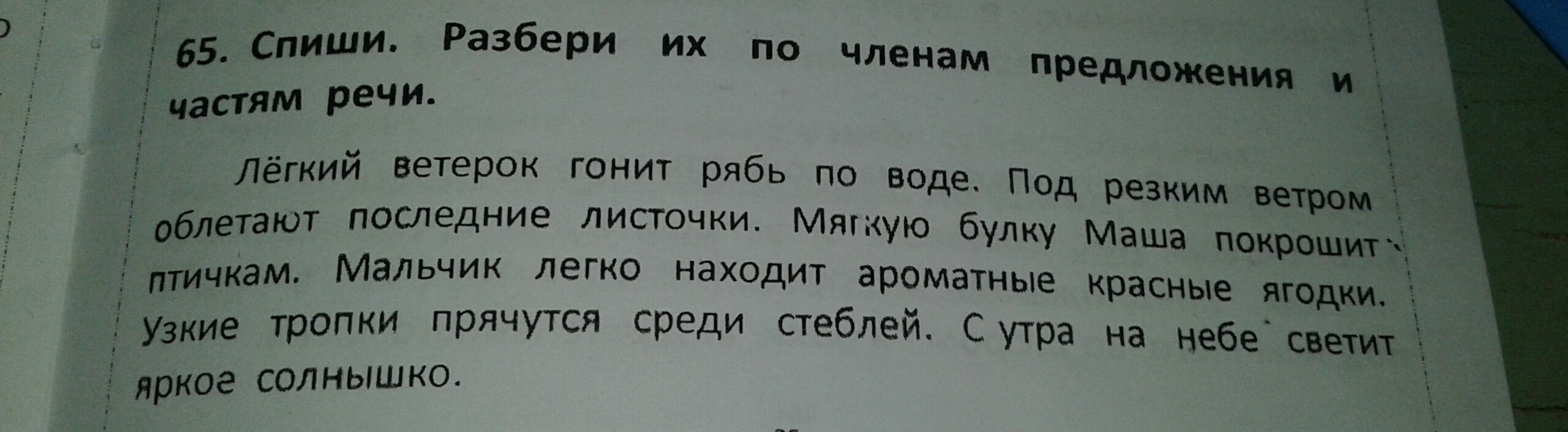 Спишите разбор. Спишите разберите предложение по членам. Разбери предложение по членам и частям речи легкий ветерок. Спиши разбери предложения. Спиши разбери по членам предложения.