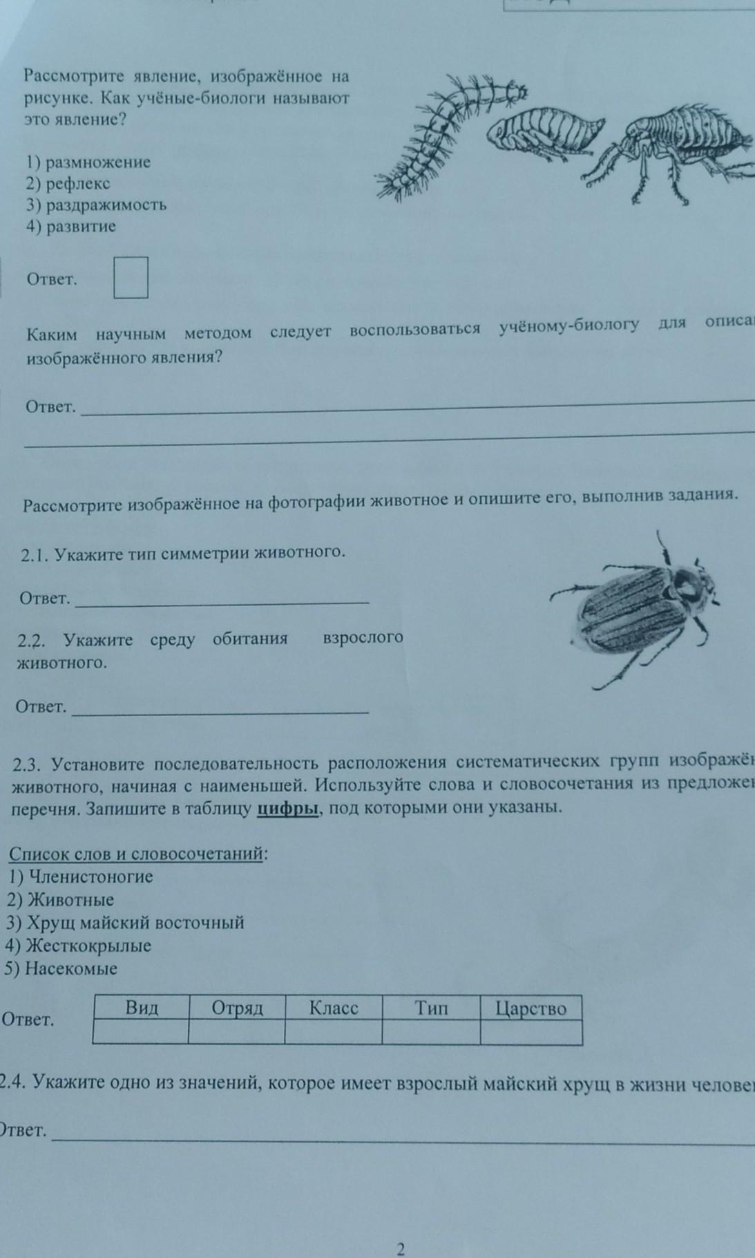 На рисунке изображено явление. Какое явление изображено на рисунке. Укажи, какое явление изображено на картинке.. Укажите какое явление изображено на картинке.