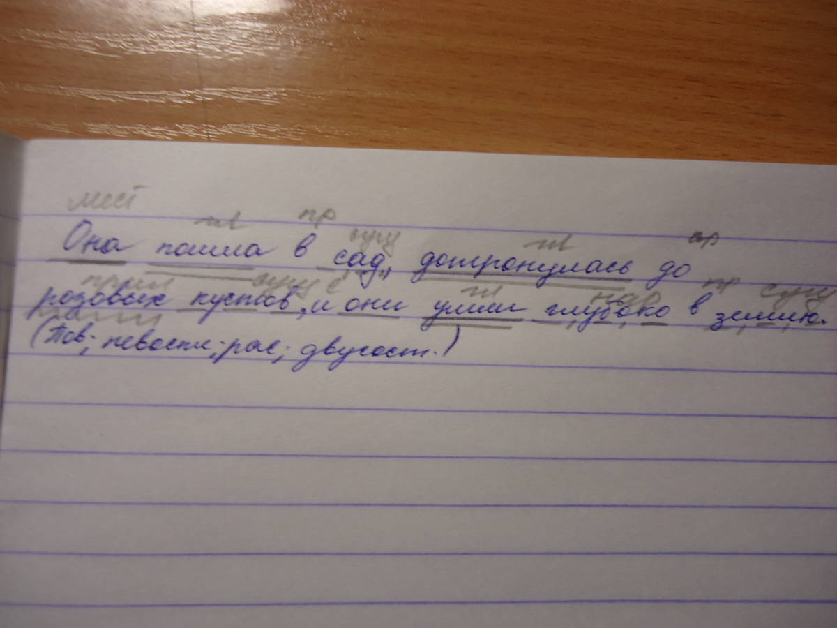 Как то прогуливаясь по городу я присела на скамейку возле фонтана синтаксический разбор