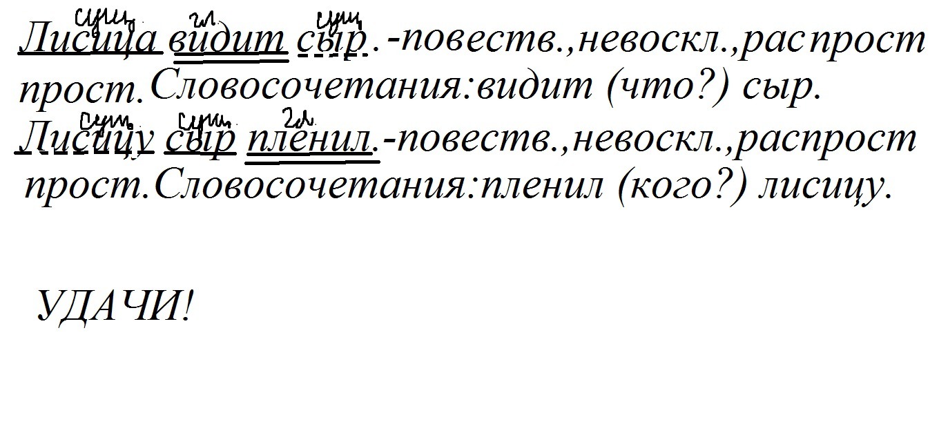 Предложение про лис