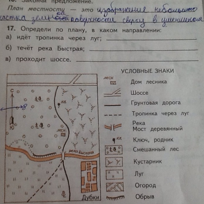 Составьте геоботаническое описание растений определенной местности по предложенному плану