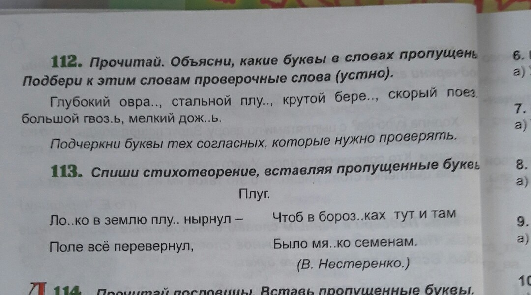 Приведение проверочное слово. Петрушка проверочное слово. Проверочное слово к слову петрушка. Предложение со словом петрушка. Словарное слово петрушка.