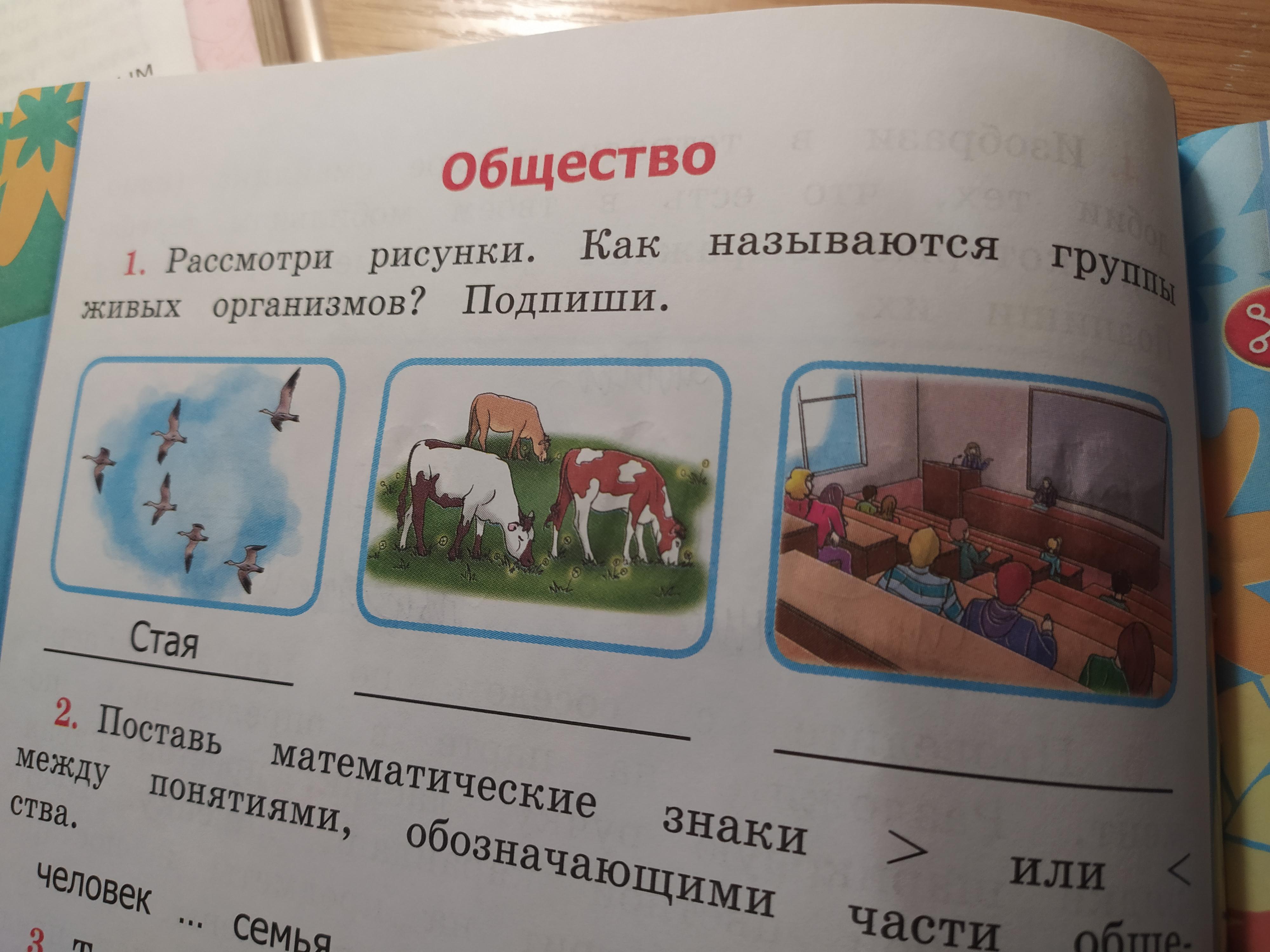 3 подпиши картинки. Рассмотрите рисунок как называется группа живых организмов. Рисунки как называются группы живых организмов Подпиши. Рассмотри рисунки как называются группы живых организмов. Рассмотри рисунки как называются группы живых организмов Подпиши.