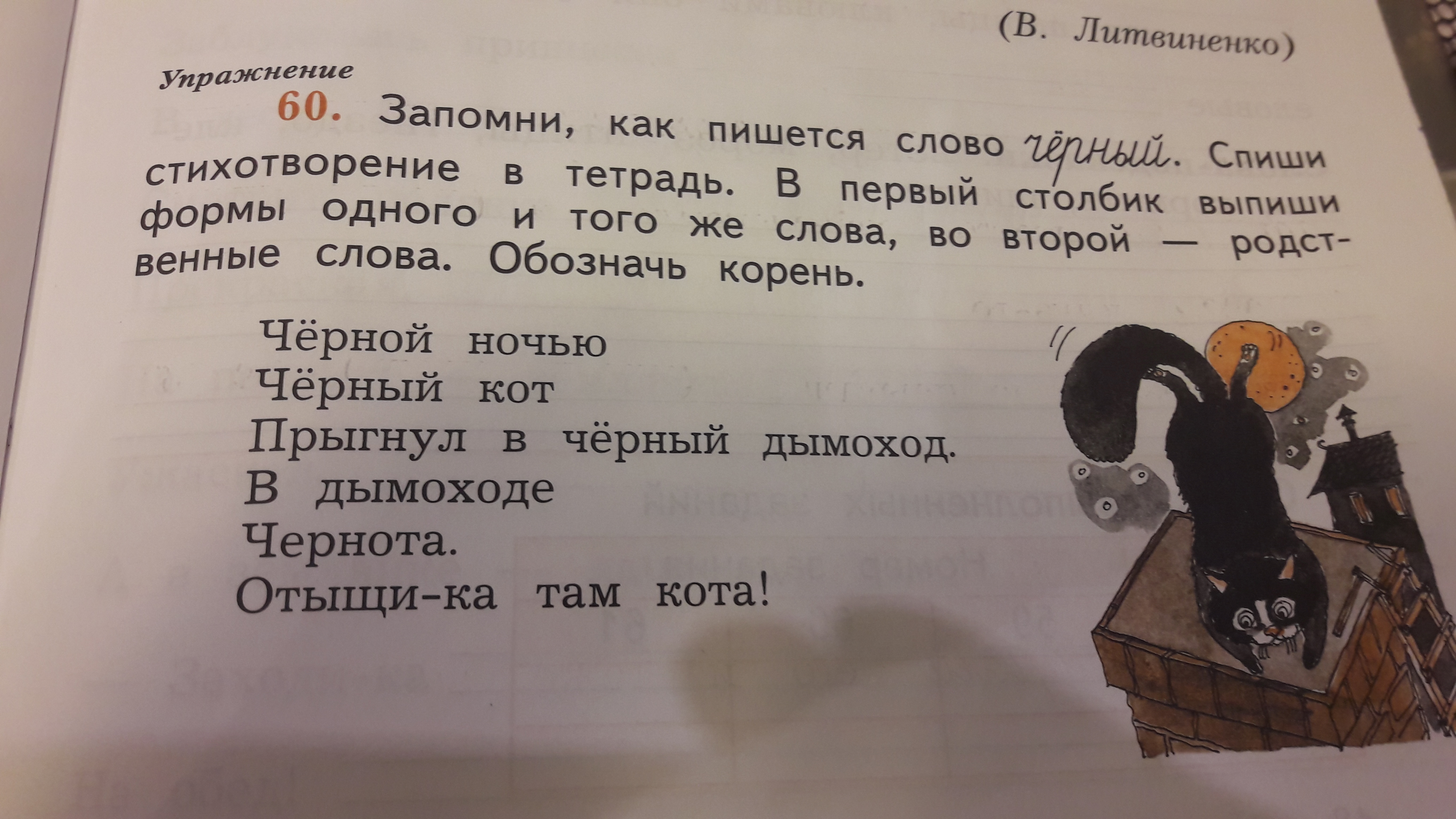 Текст черный кот