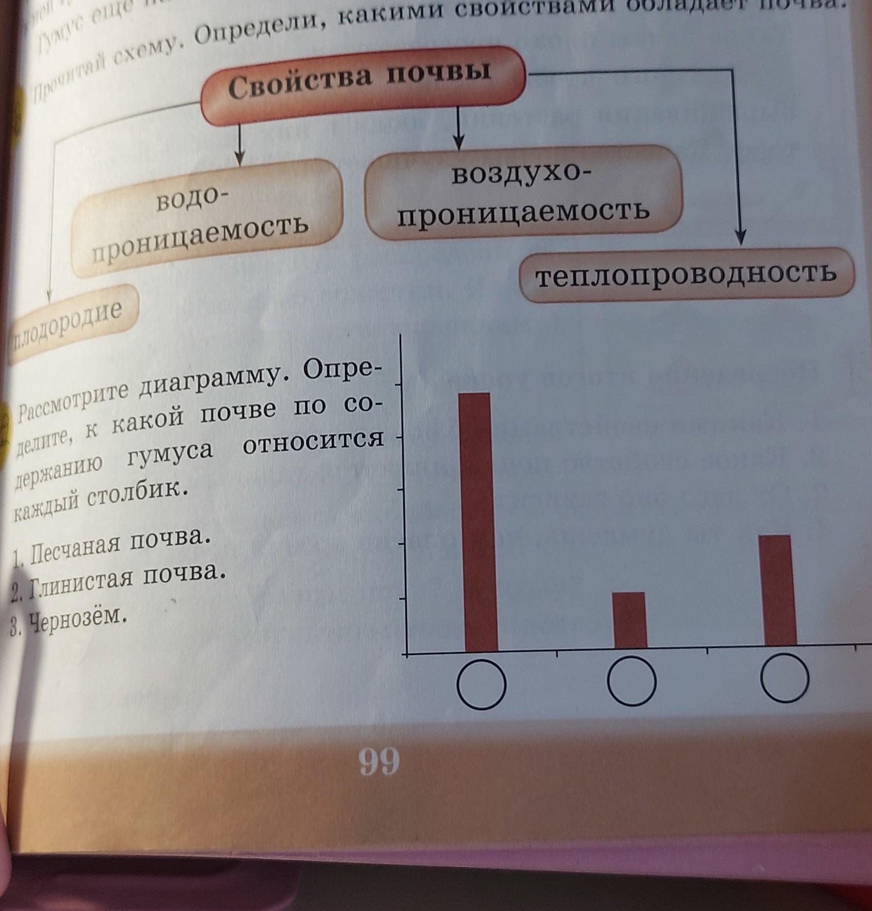 Рассмотрите диаграмму какие особенности географического положения оказали. Рассмотрите диаграмму. Значение гумуса в почве.