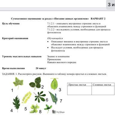 Рассмотрите рисунок выпишите цифры которыми обозначены простые листья и сложные листья